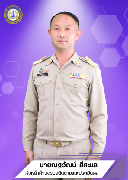 นายณฐวัฒน์ สีสะแล