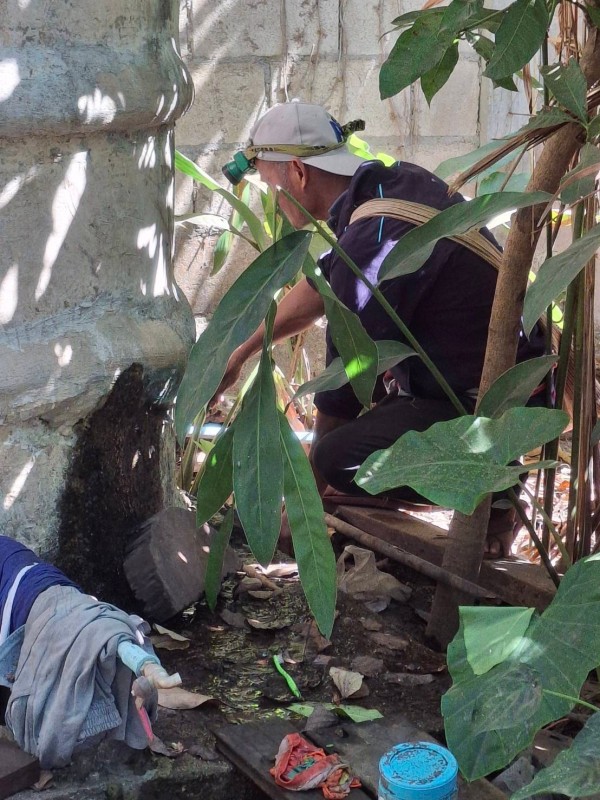 16-18 ธันวาคม 2567 รพ.สต.บ้านสันป่าไร่ร่วมกับสสช.บ้านห้วยกระทิงและอาสาสมัครสาธารณสุขหมู่ที่2,3,5,6และ7 รณรงค์สำรวจและทำลายแหล่งเพาะพันธ์ลูกน้ำยุงลาย รอบที่ 2 ประจำเดือน ธันวาคม 2567 จำนว