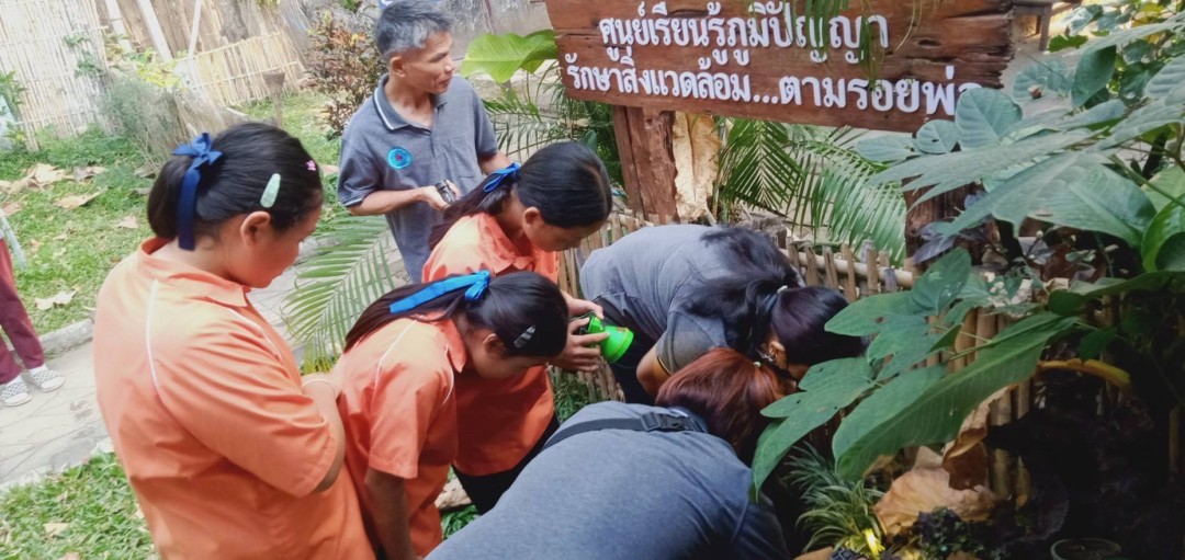 8-9/1/68 รพ.สต.บ้านสันป่าไร่ร่วมกับอาสาสมัครสาธารณสุขหมู่ที่2,3,5,6และ7 สำรวจและทำลายแหล่งเพาะพันธ์ลูกน้ำยุงลาย รอบที่ 1 เดือนมกราคม 2568