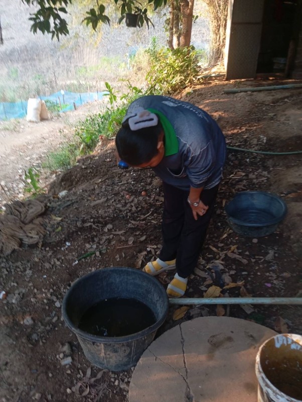 9 ก.พ. 68 เจ้าหน้าที่ รพ.สต.บ้านสันป่าไร่ร่วมกับอาสาสมัครสาธารณสุข ม.2,3,5,6และ7 สำรวจและทำลายแหล่งเพาะพันธ์ลูกน้ำยุงลาย รอบที่ 1 เดือน ก.พ. 68