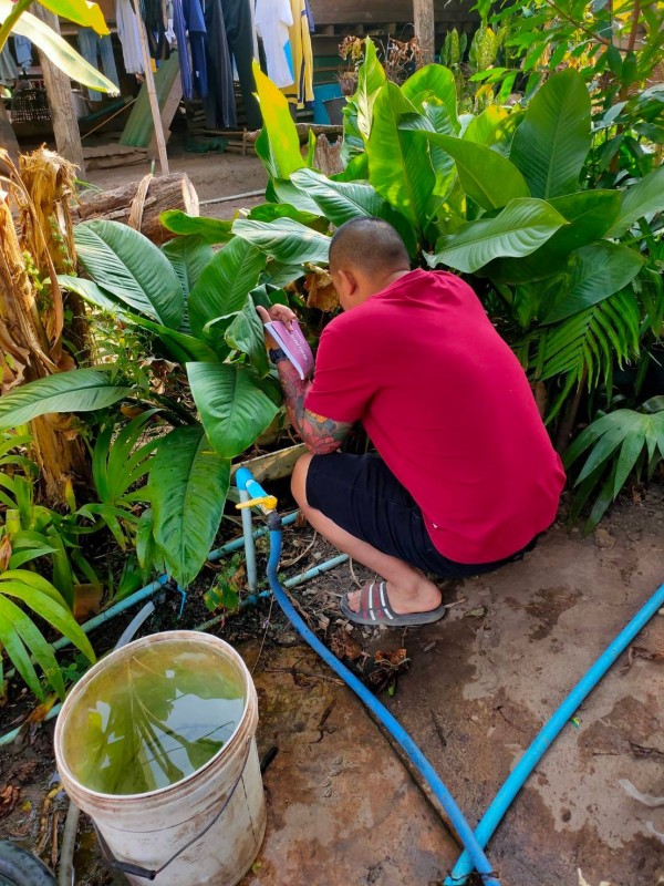 9 ก.พ. 68 เจ้าหน้าที่ รพ.สต.บ้านสันป่าไร่ร่วมกับอาสาสมัครสาธารณสุข ม.2,3,5,6และ7 สำรวจและทำลายแหล่งเพาะพันธ์ลูกน้ำยุงลาย รอบที่ 1 เดือน ก.พ. 68