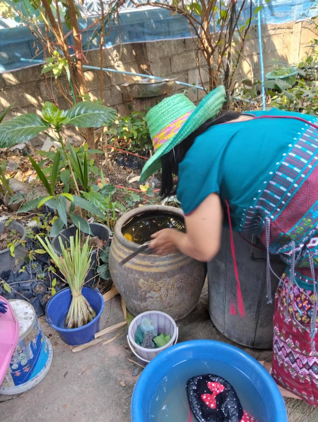 9 ก.พ. 68 เจ้าหน้าที่ รพ.สต.บ้านสันป่าไร่ร่วมกับอาสาสมัครสาธารณสุข ม.2,3,5,6และ7 สำรวจและทำลายแหล่งเพาะพันธ์ลูกน้ำยุงลาย รอบที่ 1 เดือน ก.พ. 68