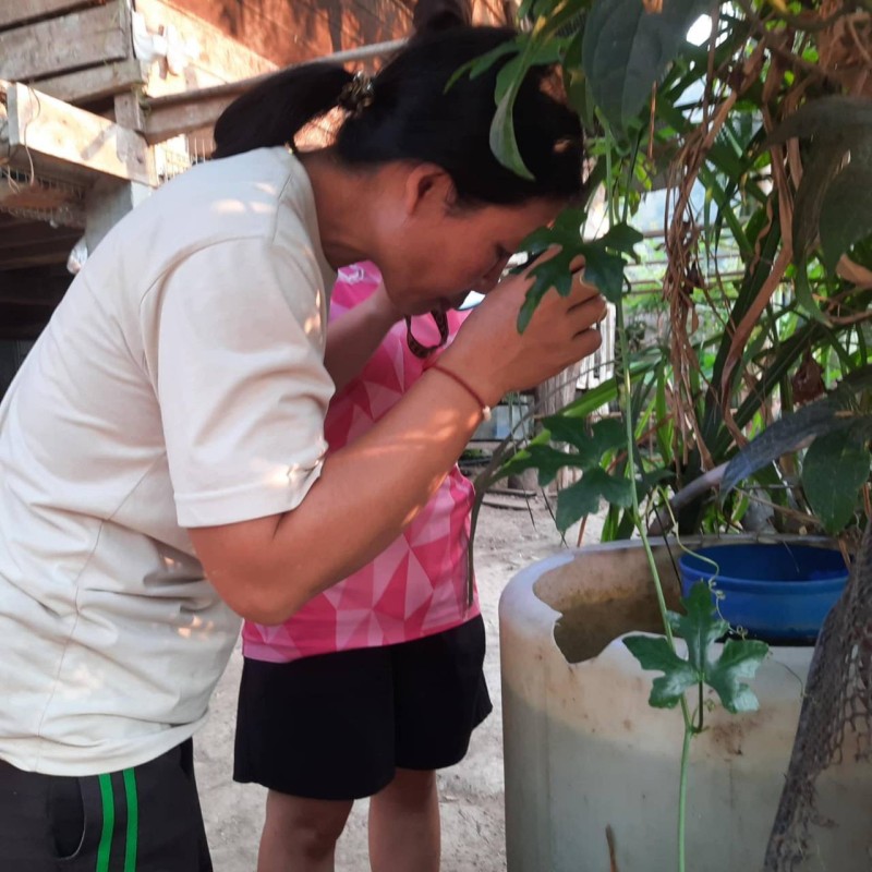 18/3/68 รพ.สต.บ้านสันป่าไร่ร่วมกับอาสาสมัครสาธารณสุข หมู่ที่2,3,5,6และ7 สำรวจและทำลายแหล่งเพาะพันธ์ลูกน้ำยุงลาย รอบที่ 2 ประจำเดือน มีนาคม 68
