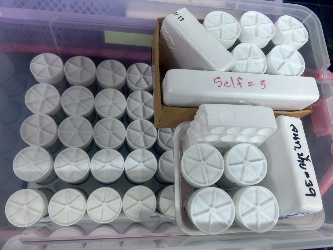 26 มี.ค.68 รพ.สต.บ้านสันป่าไร่ รณรงค์ตรวจคัดกรองมะเร็งปากมดลูก สตรีกลุ่มเป้าหมาย อายุ 30 - 60 ปี หมู่ที่ 5 ต.พระธาตุ ด้วยวิธี HPV DNA TEST (ตรวจโดยเจ้าหน้าที่)จำนวน 39 ราย และ วิธี HPV self sampling (ตรวจด้วยตนเอง)จำนวน 5 ราย รวม 44 ราย