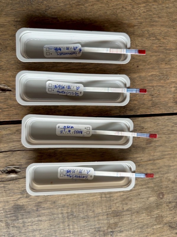 11 เมษายน 2568 นายกัณตพงศ์ ฉลากมงคล ผู้ช่วยเจ้าหน้าที่สาธารณสุขและน.ส.รุจิพร กุลธรรมอนุตระ พนักงานบริการ ประจำสสช.บ้านห้วยกระทิง ร่วมกับทีมศูนย์ควบคุมโรคติดต่อนำโดยแมลงแม่สอด หน่วยควบคุมโรคติดต่อนำโดยแมลง แม่จะเรา สสอ.แม่ระมาด รพ.แม่ระมาดและอสม.ม.6 บ้านห้