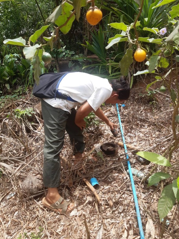 18 เมษายน 2568 รพ.สต.บ้านสันป่าไร่ร่วมกับอาสาสมัครสาธารณสุข หมู่ที่2,3,5,6และ7 รณรงค์สำรวจและทำลายแหล่งเพาะพันธ์ลูกน้ำยุงลาย รอบที่ 2 เดือน เมษายน 2568