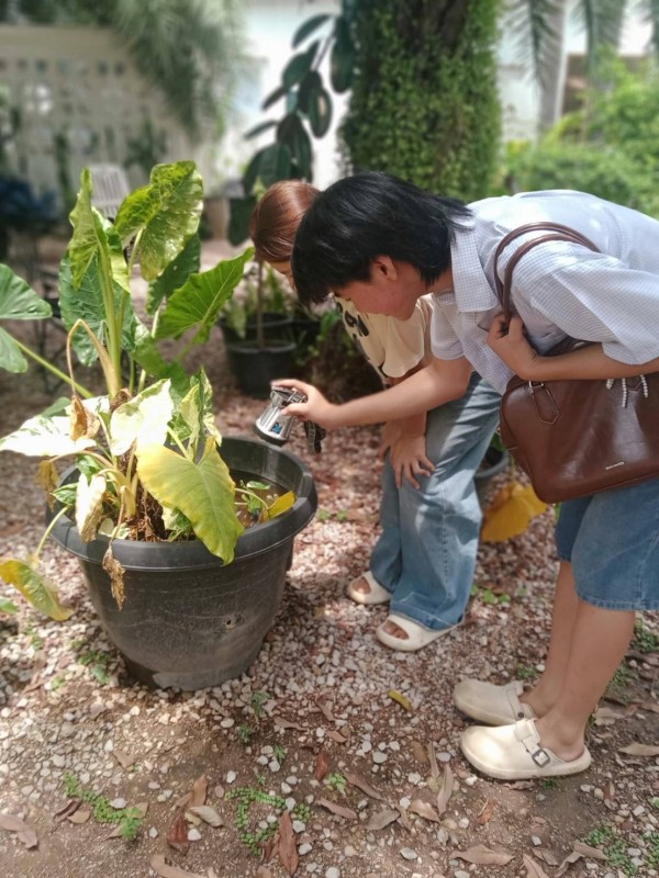 18 พฤษภาคม 2568 รพ.สต.บ้านสันป่าไร่ร่วมกับอาสาสมัครสาธารณสุข หมู่ที่ 2,3,5,6และ7 รณรงค์สำรวจและทำลายแหล่งเพาะพันธ์ลูกน้ำยุงลาย รอบที่ 2 ประจำเดือน พฤษภาคม 2568