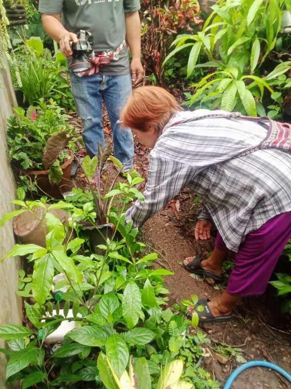 18 พฤษภาคม 2568 รพ.สต.บ้านสันป่าไร่ร่วมกับอาสาสมัครสาธารณสุข หมู่ที่ 2,3,5,6และ7 รณรงค์สำรวจและทำลายแหล่งเพาะพันธ์ลูกน้ำยุงลาย รอบที่ 2 ประจำเดือน พฤษภาคม 2568