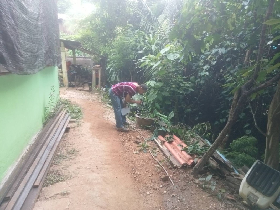 24 พฤษภาคม 2568 รพ.สต.บ้านสันป่าไร่ร่วมกับอาสาสมัครสาธารณสุขหมู่ทึ่ 3 บ้านจบปิ รณรงค์สำรวจและทำลายแหล่งเพาะพันธ์ลูกน้ำยุงลาย 100 เมตร รอบบ้านงานแต่งงาน จำนวน 10 หลังคาเรือน ภาชนะทั้งหมด 67 ชิ้น พบลูกน้ำ 1 ชิ้น ทำลายเรียบร้อยแล้ว