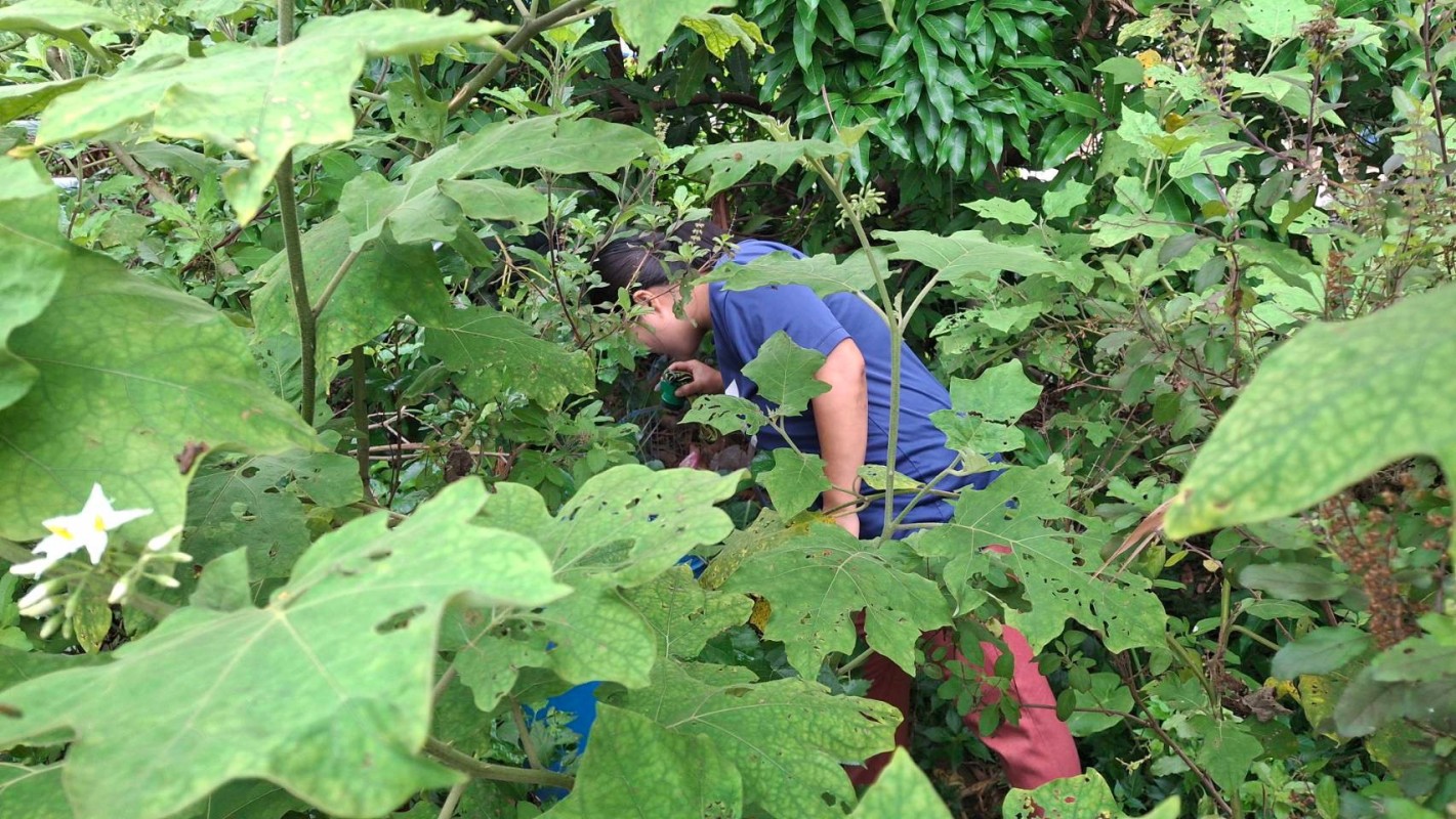 26 พฤษภาคม 2568 รพ.สต.บ้านสันป่าไร่ร่วมกับอาสาสมัครสาธารณสุข หมู่ที่ 3 บ้านป่าไร่เหนือ สำรวจและทำลายแหล่งเพาะพันธ์ลูกน้ำยุงลาย 100 เมตร รอบบ้านงานศพ จำนวน 11 หลัง จำนวนภาชนะทั้งหมด 87 ชิ้น พบ 2 ชิ้น ภาชนะที่พบทำลายทิ้งเรียบร้อยแล้ว