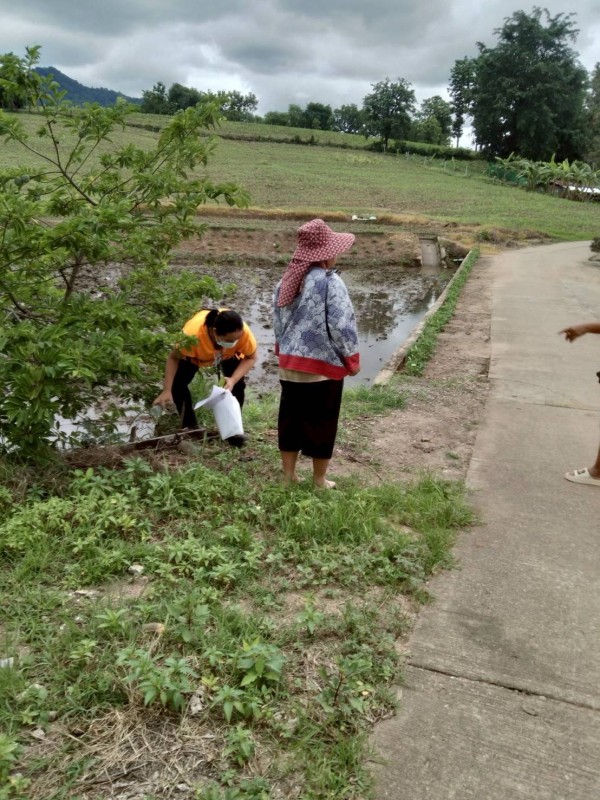 13 มิถุนายน 2568 รพ.สต.บ้านสันป่าไร่ร่วมกับอาสาสมัครสาธารณสุขหมู่ที่ 5 บ้านสันป่าไร่และอบต.พระธาตุ ออกควบคุมโรครอบที่1 เคส นส.พิชชญา ติ๊บลังกา ผลการดำเนินงาน บ้านผู้ป่วย ภาชนะทั้งหมด 17  ชิ้น ไม่พบลูกน้ำยุงลาย รอบบ้านผู้ป่วยรัศมี 100 เมตร หลังคาเรือนทั้งห