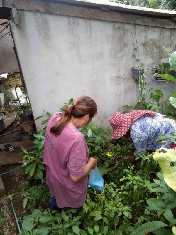 13 มิถุนายน 2568 รพ.สต.บ้านสันป่าไร่ร่วมกับอาสาสมัครสาธารณสุขหมู่ที่ 5 บ้านสันป่าไร่และอบต.พระธาตุ ออกควบคุมโรครอบที่1 เคส นส.พิชชญา ติ๊บลังกา ผลการดำเนินงาน บ้านผู้ป่วย ภาชนะทั้งหมด 17  ชิ้น ไม่พบลูกน้ำยุงลาย รอบบ้านผู้ป่วยรัศมี 100 เมตร หลังคาเรือนทั้งห