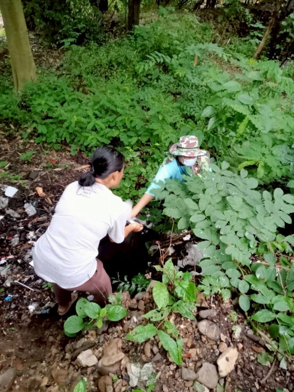 13 มิถุนายน 2568 รพ.สต.บ้านสันป่าไร่ร่วมกับจนท.ฐานตชด.บ้านจบปิและอบต.พระธาตุ ควบคุมโรคไข้เลือดออก รอบที่ 3 เคส อสทพ.จตุพล เถลิงเดชไพร