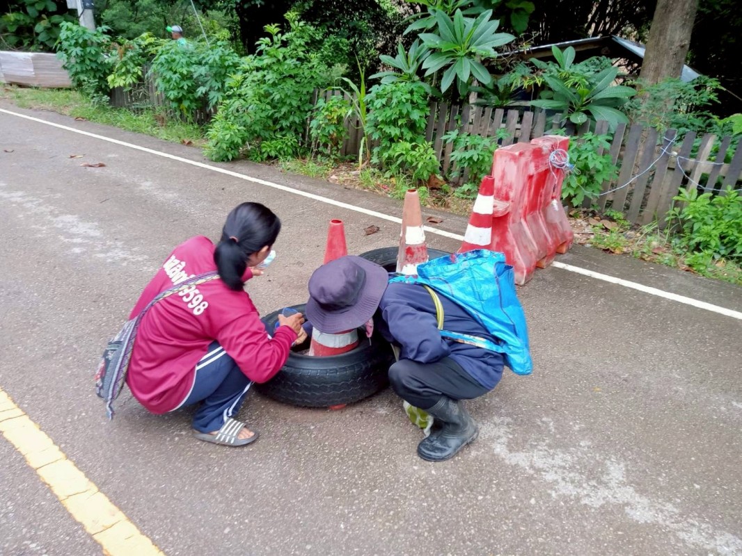 13 มิถุนายน 2568 รพ.สต.บ้านสันป่าไร่ร่วมกับจนท.ฐานตชด.บ้านจบปิและอบต.พระธาตุ ควบคุมโรคไข้เลือดออก รอบที่ 3 เคส อสทพ.จตุพล เถลิงเดชไพร