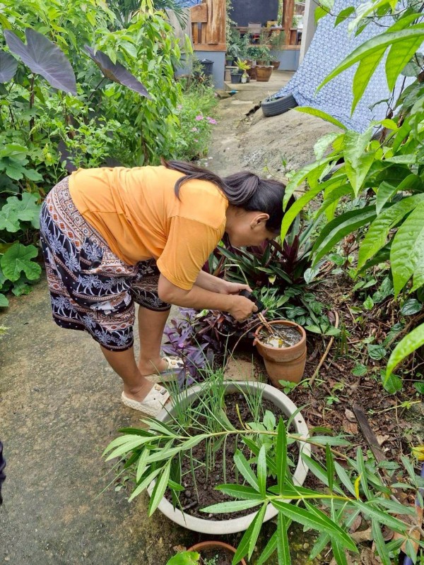 16 มิถุนายน 2568 รพ.สต.บ้านสันป่าไร่ร่วมกับอาสาสมัครสาธารณสุข หมู่ที่ 5 บ้านสันป่าไร่ ออกควบคุมโรคไข้เลือดออกรอบที่2 เคส น.ส.พิชชญา ติ๊บลังกา ตามมาตรการควบคุมโรค 0 3 7 ผลดำเนินงาน พบว่าบ้านผู้ป่วย ภาชนะทั้งหมด 5 ชิ้น ไม่พบลูกน้ำยุงลาย รอบบ้านผู้ป่วยรัศมี 