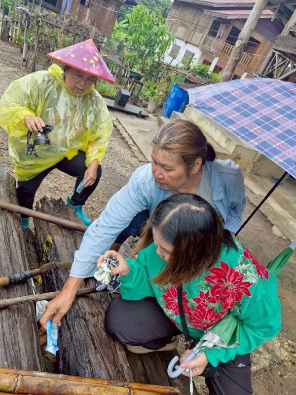 20 มิถุนายน 2568 รพ.สต.บ้านสันป่าไร่ร่วมกับอาสาสมัครสาธารณสุข หมู่ที่ 5 บ้านสันป่าไร่ ควบคุมโรครอบที่ 3 เคส นส.พิชชญา ติ๊บลังกาและ รอบที่ 2 เคสนางเกสร อุดเป็งเครือ จำนวนบ้านทั้งหมด 37 หลัง จำนวนภาชนะทั้งหมด 398 ชิ้น พบลูกน้ำ 4 หลัง ภาชนะ 7 ชิ้น ค่าBI=18.9