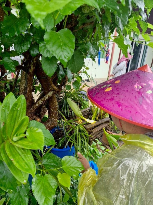 20 มิถุนายน 2568 รพ.สต.บ้านสันป่าไร่ร่วมกับอาสาสมัครสาธารณสุข หมู่ที่ 5 บ้านสันป่าไร่ ควบคุมโรครอบที่ 3 เคส นส.พิชชญา ติ๊บลังกาและ รอบที่ 2 เคสนางเกสร อุดเป็งเครือ จำนวนบ้านทั้งหมด 37 หลัง จำนวนภาชนะทั้งหมด 398 ชิ้น พบลูกน้ำ 4 หลัง ภาชนะ 7 ชิ้น ค่าBI=18.9