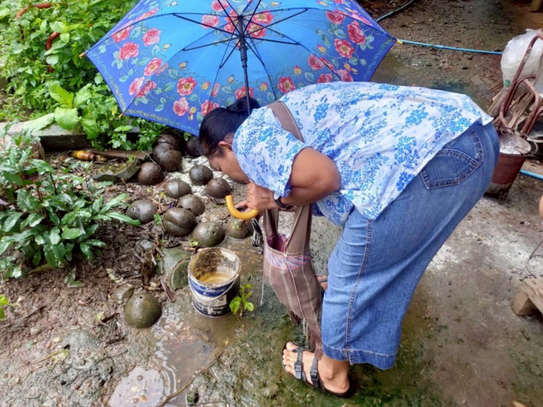 18 กรกฎาคม 2568 รพ.สต.บ้านสันป่าไร่ร่วมกับอาสาสมัครสาธารณสุขหมู่ที่2,3,5,6และ7 สำรวจและทำลายแหล่งเพาะพันธ์ลูกน้ำยุงลาย รอบที่ 2 เดือน กรกฎาคม 2568