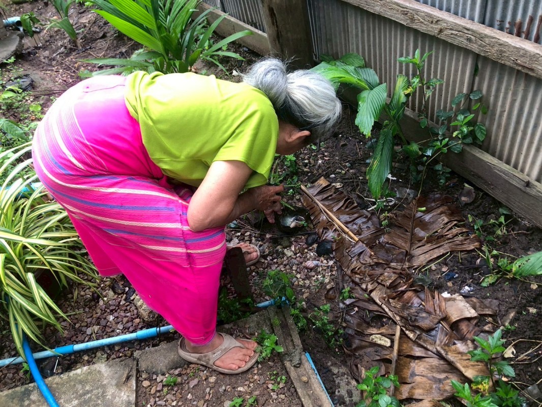 18 กรกฎาคม 2568 รพ.สต.บ้านสันป่าไร่ร่วมกับอาสาสมัครสาธารณสุขหมู่ที่2,3,5,6และ7 สำรวจและทำลายแหล่งเพาะพันธ์ลูกน้ำยุงลาย รอบที่ 2 เดือน กรกฎาคม 2568