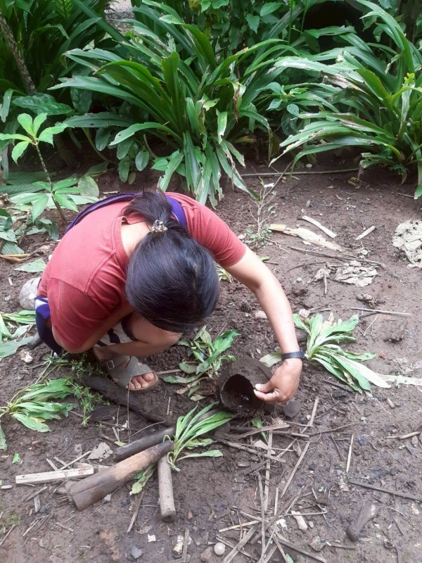 18 กรกฎาคม 2568 รพ.สต.บ้านสันป่าไร่ร่วมกับอาสาสมัครสาธารณสุขหมู่ที่2,3,5,6และ7 สำรวจและทำลายแหล่งเพาะพันธ์ลูกน้ำยุงลาย รอบที่ 2 เดือน กรกฎาคม 2568