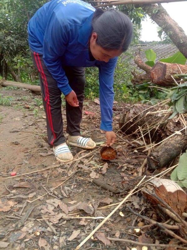 18 กรกฎาคม 2568 รพ.สต.บ้านสันป่าไร่ร่วมกับอาสาสมัครสาธารณสุขหมู่ที่2,3,5,6และ7 สำรวจและทำลายแหล่งเพาะพันธ์ลูกน้ำยุงลาย รอบที่ 2 เดือน กรกฎาคม 2568