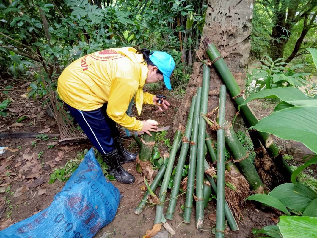 2 สิงหาคม 2568 รพ.สต.บ้านสันป่าไร่ ร่วมกับอาสาสมัครสาธารณสุข ผู้นำชุมชน จิตอาสา และประชาชนทั่วไป หมู่ที่ 2,3,5,6และ7 ตำบลพระธาตุ รณรงค์สำรวจ และทำลายแหล่งเพาะพันธ์ลูกน้ำยุงลาย ปรับปรุงสภาพภูมิทัศน์ภายในหมู่บ้าน เนื่องในวันแม่แห่งชาติ