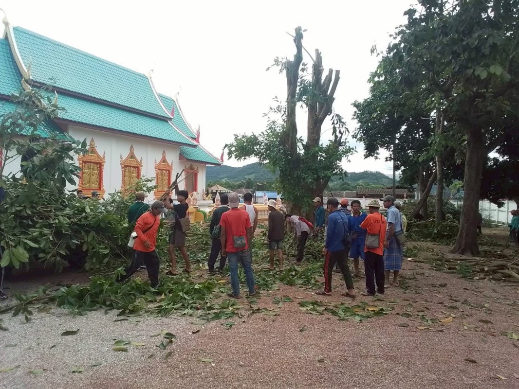 2 สิงหาคม 2568 รพ.สต.บ้านสันป่าไร่ ร่วมกับอาสาสมัครสาธารณสุข ผู้นำชุมชน จิตอาสา และประชาชนทั่วไป หมู่ที่ 2,3,5,6และ7 ตำบลพระธาตุ รณรงค์สำรวจ และทำลายแหล่งเพาะพันธ์ลูกน้ำยุงลาย ปรับปรุงสภาพภูมิทัศน์ภายในหมู่บ้าน เนื่องในวันแม่แห่งชาติ