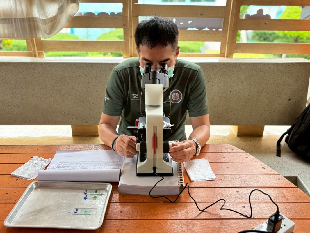 26-27 สิงหาคม 2568 นายอดิศร เทียนพานิช ผอ.รพ.สต.บ้านสันป่าไร่ น.ส.วาสนา กึกก้องโลกา พยาบาลวิชาชีพปฏิบัติการและนางเสาร์แก้ว อ่วมพิทยา เจ้าพนักงานสาธารณสุข รพ.สต.บ้านสันป่าไร่ ตรวจอุจจาระเพื่อตรวจหาไข่พยาธิ ในเด็กนักเรียนในพื้นที่โครงการพระราชดำริ สมเด็จพระ