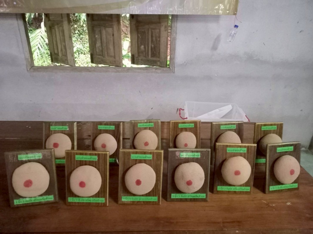 31 สิงหาคม 2568 นางอัจฉรา ทวีเกื้อกูลกิจ นายกองค์การบริหารส่วนจังหวัดตาก มอบหมายให้ รพ.สต.บ้านสันป่าไร่ โดยนางเสาร์แก้ว อ่วมพิทยา เจ้าพนักงานสาธารณสุข เป็นวิทยากรอบรมให้ความรู้โครงการพระราชดำริด้านสาธารณสุข โครงการสืบสานพระราชปณิธานสมเด็จย่าต้านภัยมะเร็งเ