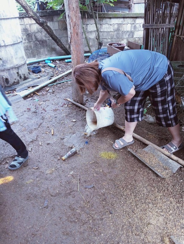 9 กันยายน 2568 นางอัจฉรา ทวีเกื้อกูลกิจ นายกองค์การบริหารส่วนจังหวัดตาก มอบหมายให้ รพ.สต.บ้านสันป่าไร่ ร่วมกับ อาสาสมัครสาธารณสุข หมู่ที่ 2,3,5,6และ7 ตำบลพระธาตุ รณรงค์สำรวจและทำลายแหล่งเพาะพันธ์ลูกน้ำยุงลาย รอบที่ 1 เดือน กันยายน 2568