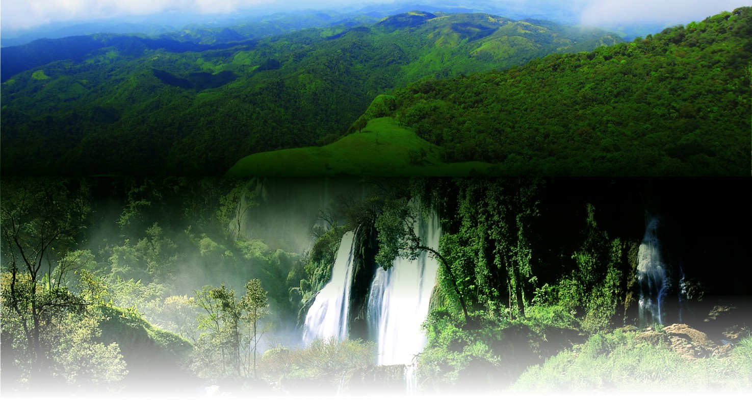 รองนายก อบจ.ตาก เข้าร่วมการประชุมขับเคลื่อน และติดตามนโยบายของรัฐบาล ภารกิจของกระทรวงมหาดไทย กรมส่งเสริมการปกครองท้องถิ่นฯ ครั้งที่ 2/2568