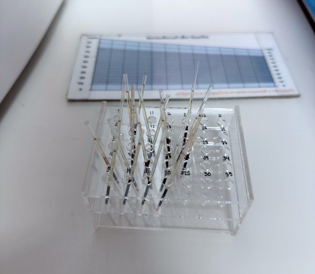 14 ต.ค.68 เวลา 08.00 น.รพ.สต.บ้านสันป่าไร่ ให้บริการเจาะเลือด screening lab (ประจำปี) , ตรวจ HCT (ความเข้มข้นของเลือด) , ตรวจสุขภาพช่องปาก , วัดความดันโลหิต , วัดรอบเอว , ชั่งน้ำหนัก , วัดส่วนสูง , ตรวจ EKG(คลื่นไฟฟ้าหัวใจ) , ตรวจ albumin urine (ปัสสาวะ) 