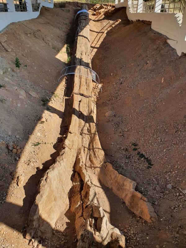 นายกองค์การบริหารส่วนจังหวัดตาก ในฐานะผู้อำนวยการอุทยานธรณีไม้กลายเป็นหินตากลงพื้นที่เพื่อหารือแนวทางการพัฒนาและประชาสัมพันธ์ การท่องเที่ยวเชิงธรณีวิทยา ณ อุทยานแห่งชาติดอยสอยมาลัย - ไม้กลายเป็นหิน จังหวัดตาก