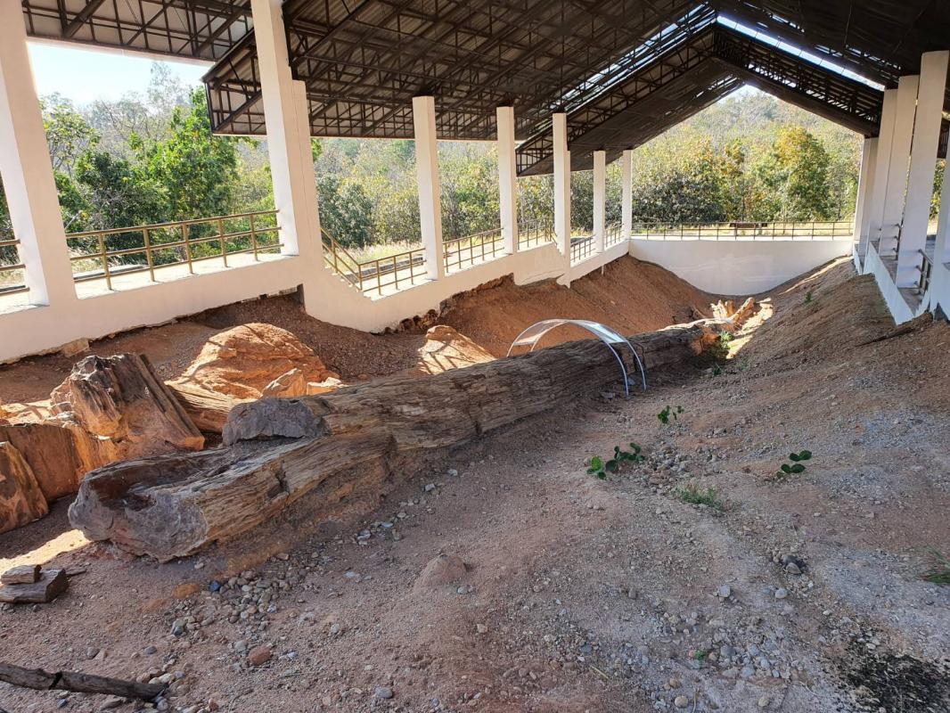 นายกองค์การบริหารส่วนจังหวัดตาก ในฐานะผู้อำนวยการอุทยานธรณีไม้กลายเป็นหินตากลงพื้นที่เพื่อหารือแนวทางการพัฒนาและประชาสัมพันธ์ การท่องเที่ยวเชิงธรณีวิทยา ณ อุทยานแห่งชาติดอยสอยมาลัย - ไม้กลายเป็นหิน จังหวัดตาก