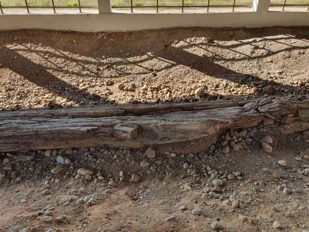 นายกองค์การบริหารส่วนจังหวัดตาก ในฐานะผู้อำนวยการอุทยานธรณีไม้กลายเป็นหินตากลงพื้นที่เพื่อหารือแนวทางการพัฒนาและประชาสัมพันธ์ การท่องเที่ยวเชิงธรณีวิทยา ณ อุทยานแห่งชาติดอยสอยมาลัย - ไม้กลายเป็นหิน จังหวัดตาก