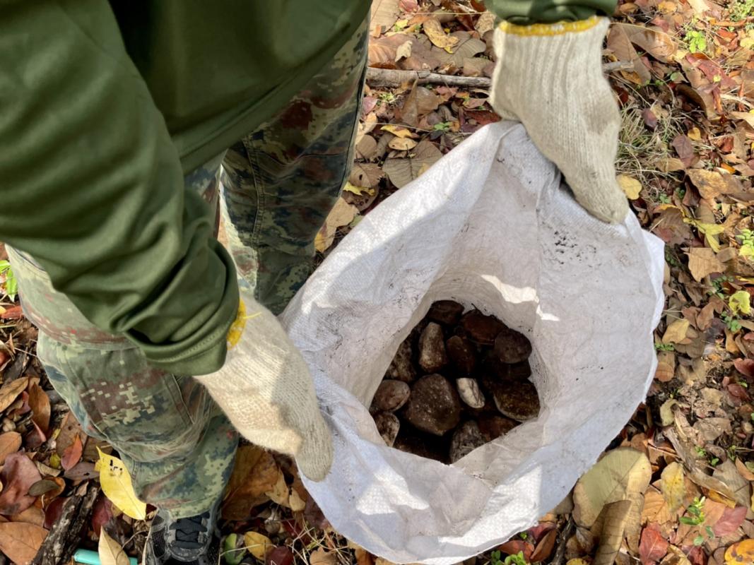 นายณัฐวุฒิ ทวีเกื้อกูลกิจ นายกองค์การบริหารส่วนจังหวัดตาก ในฐานะผู้อำนวยการอุทยานธรณีไม้กลายเป็นหินตากพร้อมด้วย ว่าที่ ดร.ฑีฆะพล ทวีเกื้อกูลกิจ รองนายกองค์การบริหารส่วนจังหวัดตาก นำเจ้าหน้าที่ ร่วมดำเนินการ จัดเรียงหินกรวด ในบริเวณ ไม้กลายเป็นหิน ต้นที่ 1