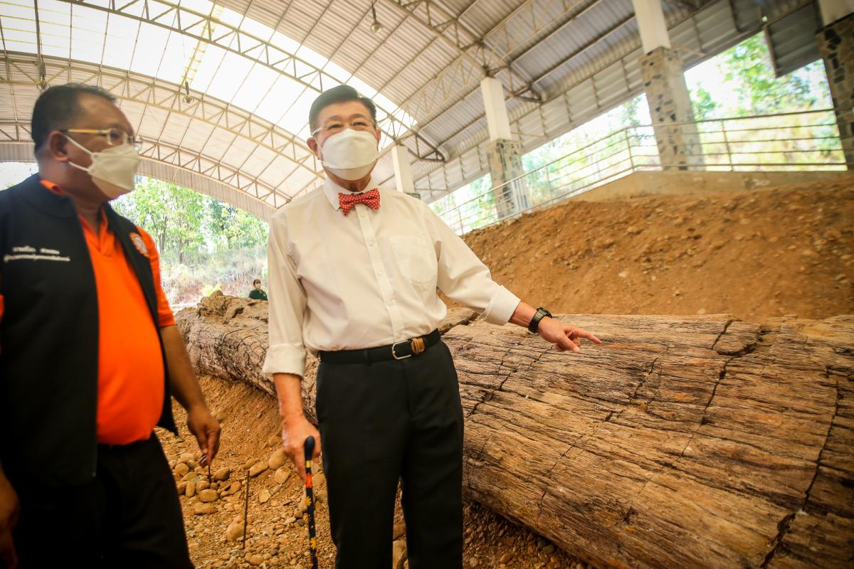 นายกองค์การบริหารส่วนจังหวัดตาก ในฐานะผู้อำนวยการอุทยานธรณีไม้กลายเป็นหินตาก พร้อมด้วยผู้บริหาร และหัวหน้าส่วนการงานองค์การบริหารส่วนจังหวัดตาก ร่วมเป็นสักขีพยานในการวัดความยาวของไม้กลายเป็นหินหลุมที่ 1