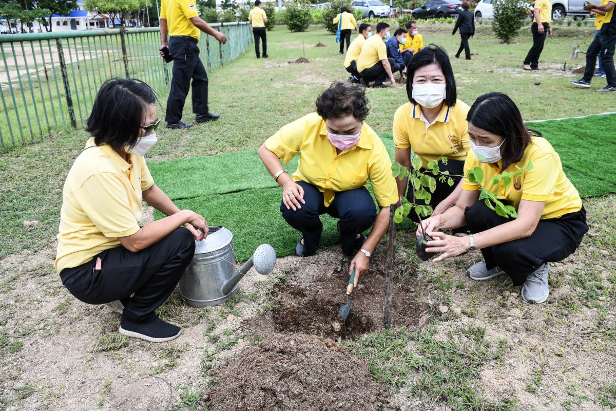 นายก อบจ.ตาก เป็นประธานในพิธีเปิดงาน “วันต้นไม้ประจำปีของชาติ พ.ศ.2565”