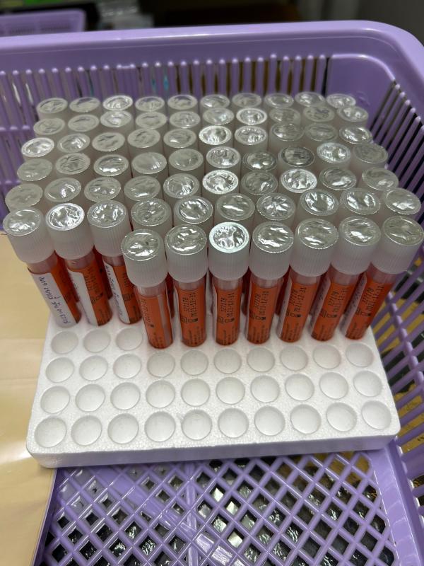 15/3/66 รพ.สต.บ้านสันป่าไร่ รณรงค์ตรวจคัดกรองมะเร็งปากมดลูก ด้วยวิธี HPV self sampling ระหว่างวันที่ 13-16 มีนาคม 2566 (วันที่สาม มีผู้มารับบริการ เพิ่มอีก 11 ราย รวมเป็น 67 ราย)