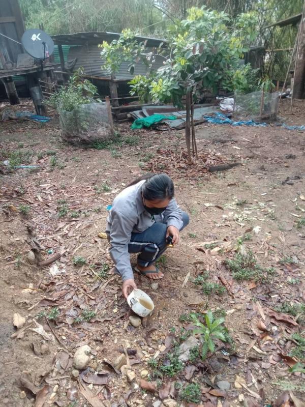 18/5/66 รพ.สต.บ้านสันป่าไร่ร่วมกับอาสาสมัครสาธารณสุขในเขตรับผิดชอบ 3 หมู่บ้าน รณรงค์สำรวจและทำลายแหล่งเพาะพันธ์ลูกน้ำยุงลาย ครั้งที่ 2 ประจำเดือนพฤษภาคม 2566