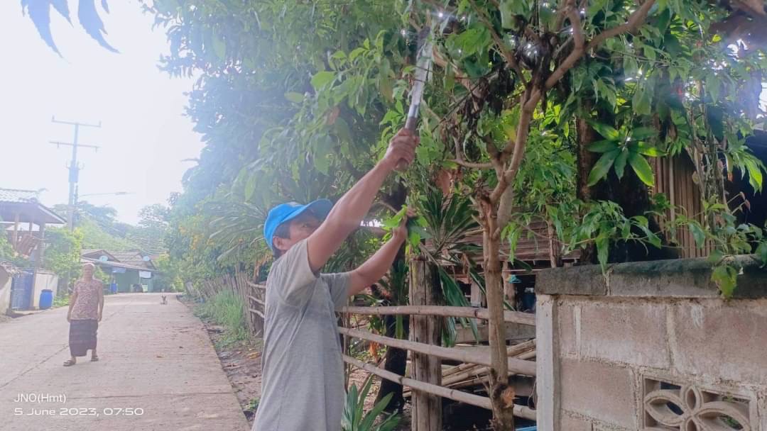 5/6/66 จนท.รพ.สต.บ้านสันป่าไร่ ร่วมกับผู้นำชุมชน ชาวบ้านและอาสาสมัครสาธารณสุขหมู่ที่ 2 บ้านตีนธาตุ หมู่ที่ 3 บ้านป่าไร่เหนือและหมู่ที่ 5 บ้านสันป่าไร่ พัฒนาสิ่งแวดล้อมภายในชุมชนและรณรงค์สำรวจและทำลายแหล่งเพาะพันธ์ลูกน้ำยุงลาย เนื่องในวันสิ่งแวดล้อมโลก