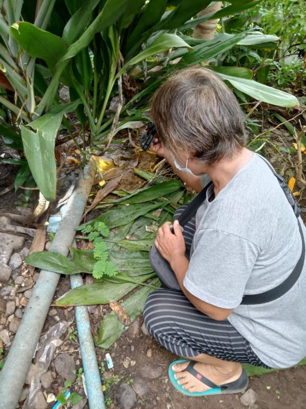 5/6/66 จนท.รพ.สต.บ้านสันป่าไร่ ร่วมกับผู้นำชุมชน ชาวบ้านและอาสาสมัครสาธารณสุขหมู่ที่ 2 บ้านตีนธาตุ หมู่ที่ 3 บ้านป่าไร่เหนือและหมู่ที่ 5 บ้านสันป่าไร่ พัฒนาสิ่งแวดล้อมภายในชุมชนและรณรงค์สำรวจและทำลายแหล่งเพาะพันธ์ลูกน้ำยุงลาย เนื่องในวันสิ่งแวดล้อมโลก