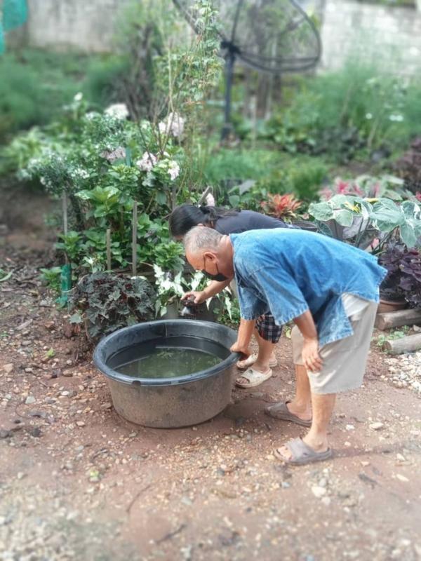 11666 อาสาสมัครสาธารณสุขหมู่ที่5 บ้านสันป่าไร่ สำรวจและทำลายแหล่งเพาะพันธ์ลูกน้ำยุงลาย รอบบ้านงานศพ 100 เมตร