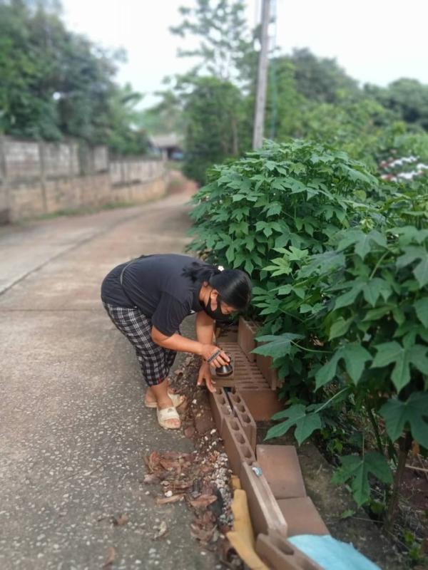 11666 อาสาสมัครสาธารณสุขหมู่ที่5 บ้านสันป่าไร่ สำรวจและทำลายแหล่งเพาะพันธ์ลูกน้ำยุงลาย รอบบ้านงานศพ 100 เมตร