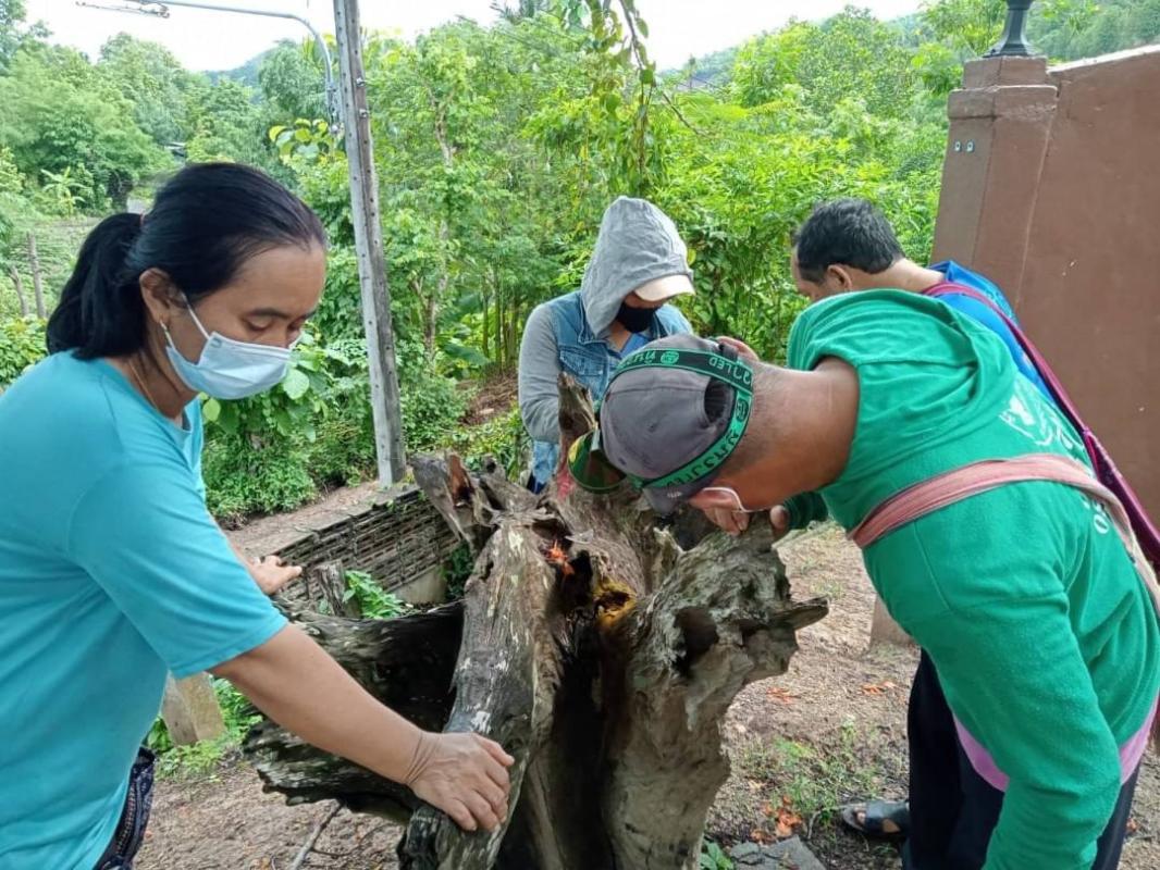 18/6/66 จนท.รพ.สต.บ้านสันป่าไร่ร่วมกับอสม.ม.3บ้านจบปิ ควบคุมโรคไข้เลือดออกรอบ2 เคสดญ.เพ็ญพิชชา ธาราคีรีและรอบแรก ดช.ณัฐคุณ พงษ์ไทย