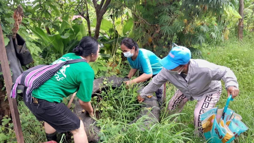 18/6/66 จนท.รพ.สต.บ้านสันป่าไร่ร่วมกับอสม.ม.3บ้านจบปิ ควบคุมโรคไข้เลือดออกรอบ2 เคสดญ.เพ็ญพิชชา ธาราคีรีและรอบแรก ดช.ณัฐคุณ พงษ์ไทย