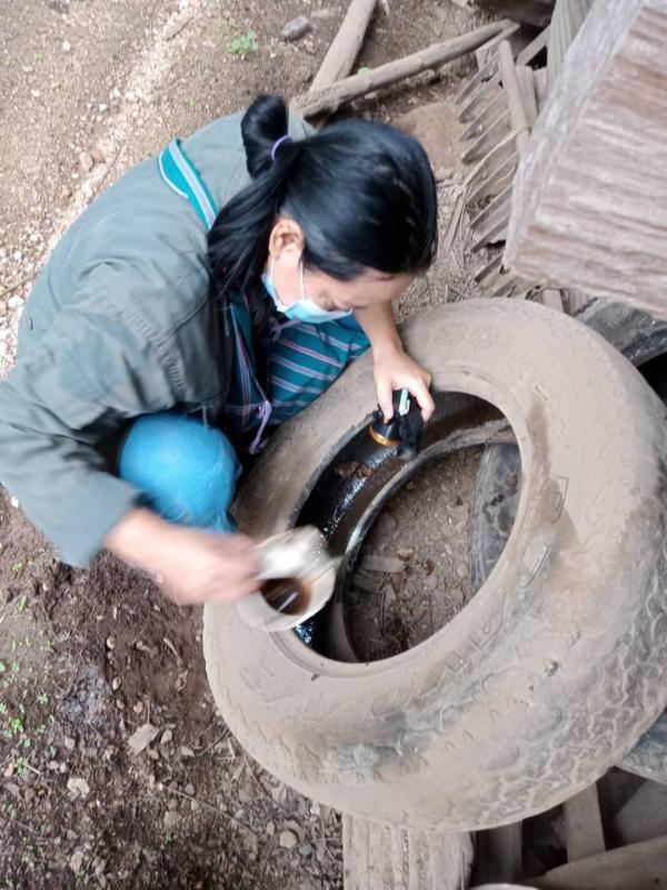 25/6/66 จนท.รพ.สต.บ้านสันป่าไร่ร่วมกับอสม.ม.3 บ้านจบปิ ควบคุมโรคไข้เลือดออก รอบ 2 เคสดช.ณัฐคุณ พงษ์ไทย