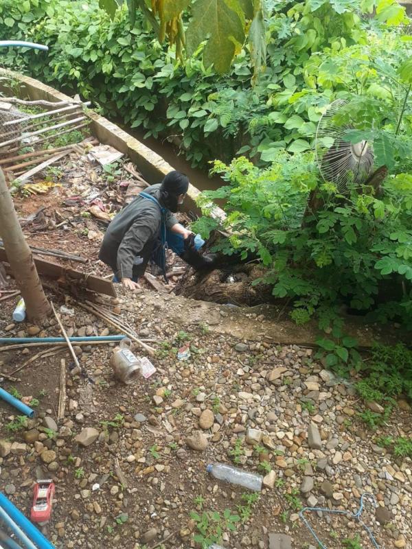 25/6/66 จนท.รพ.สต.บ้านสันป่าไร่ร่วมกับอสม.ม.3 บ้านจบปิ ควบคุมโรคไข้เลือดออก รอบ 2 เคสดช.ณัฐคุณ พงษ์ไทย