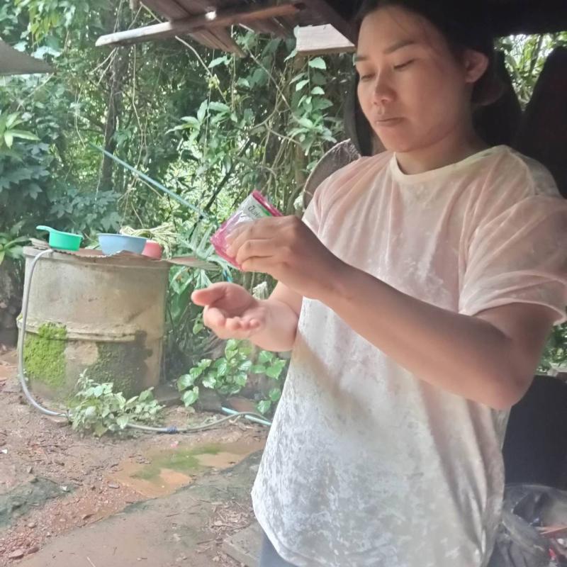 10/7/66 จนท.รพ.สต.บ้านสันป่าไร่ ร่วมกับอสม.ม.2บ้านตีนธาตุ ควบคุมโรคไข้เลือดออก รอบแรกเคส นส.ชนิดา เจนชลธี เคสผู้ป่วยอำเภอแม่สอดกลับมารักษาที่รพ.แม่ระมาด