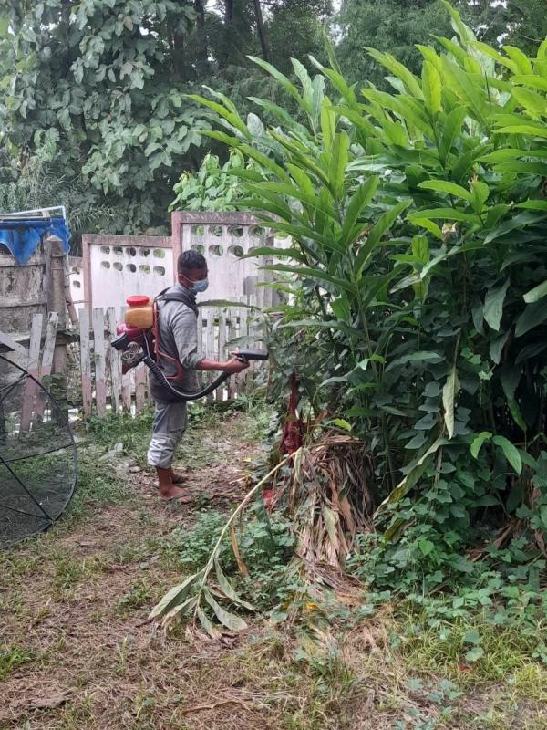 18/7/66 จนท.รพ.สต.บ้านสันป่าไร่ร่วมกับผู้นำชุมชน อบต.พระธาตุ อสม.และประชาชน ม.3บ้านป่าไร่เหนือ รณรงค์สำรวจและทำลายแหล่งเพาะพันธ์ลูกน้ำยุงลายและพ่นสารเคมีกำจัดยุงตัวแก่ทั้งหมู่บ้านเนื่องในวันสวรรคตของสมเด็จย่า